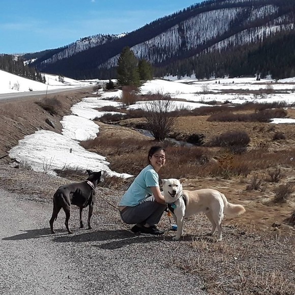 Meet your Posher, Kim - Picture 1 of 2